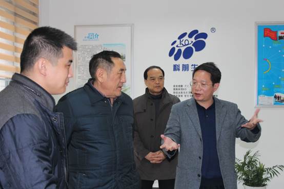 国产乱人偷精品人妻A片