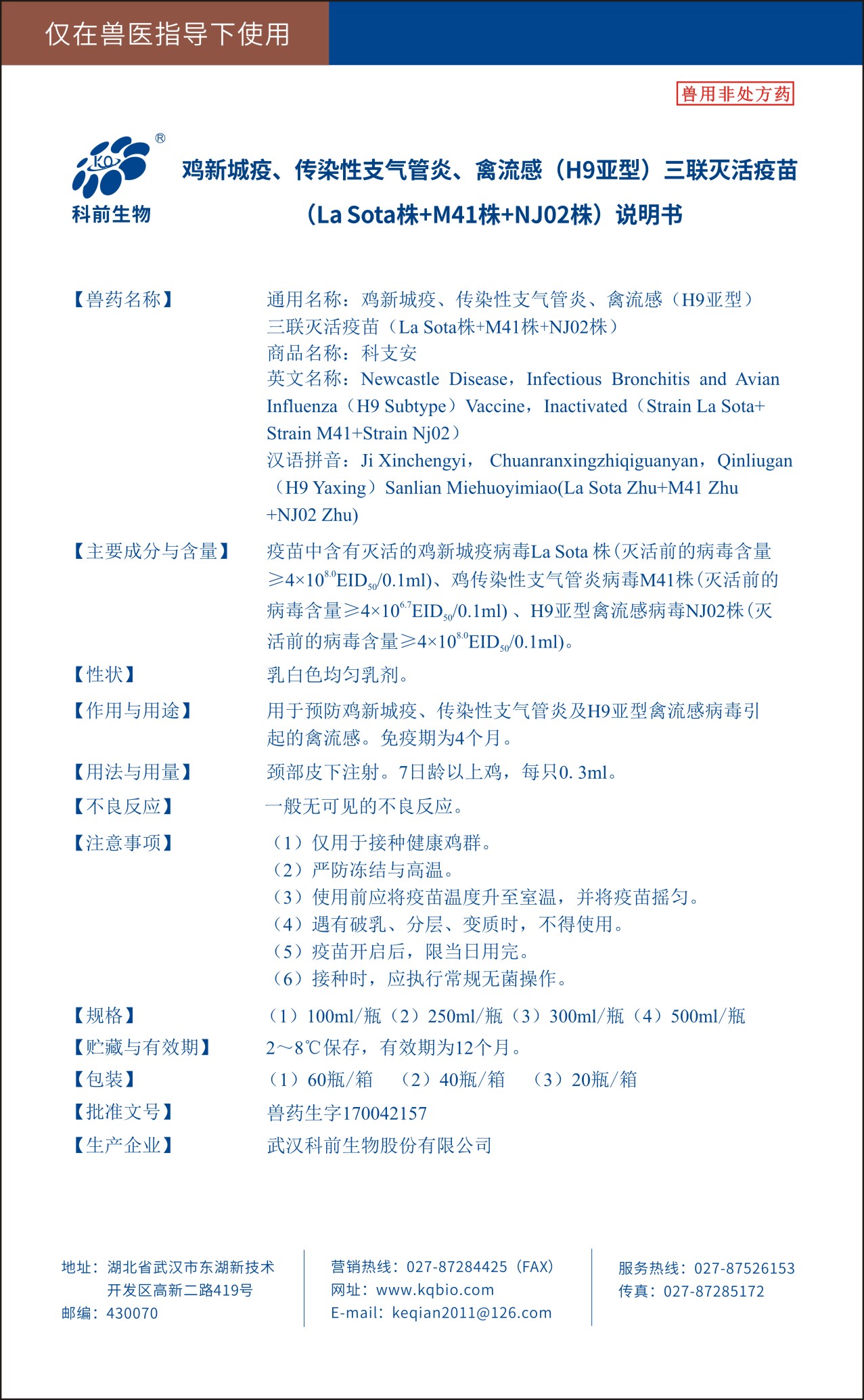 国产乱人偷精品人妻A片