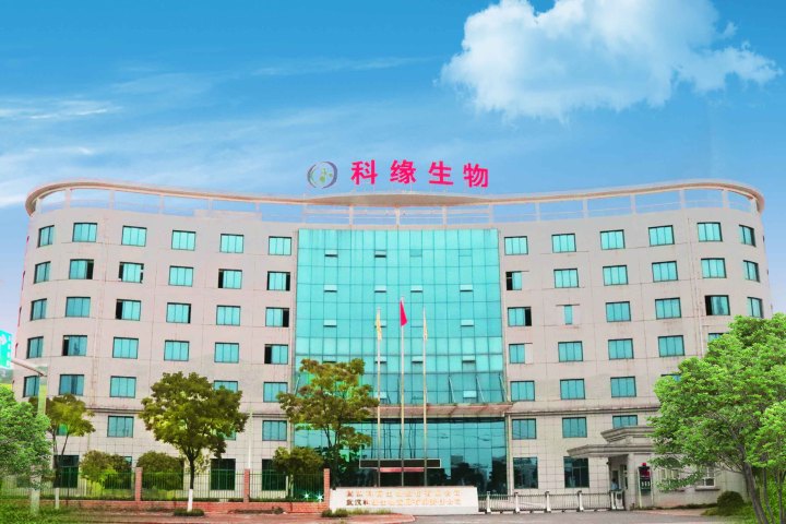 国产乱人偷精品人妻A片