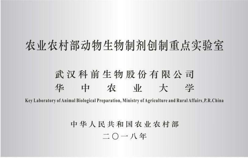 国产乱人偷精品人妻A片