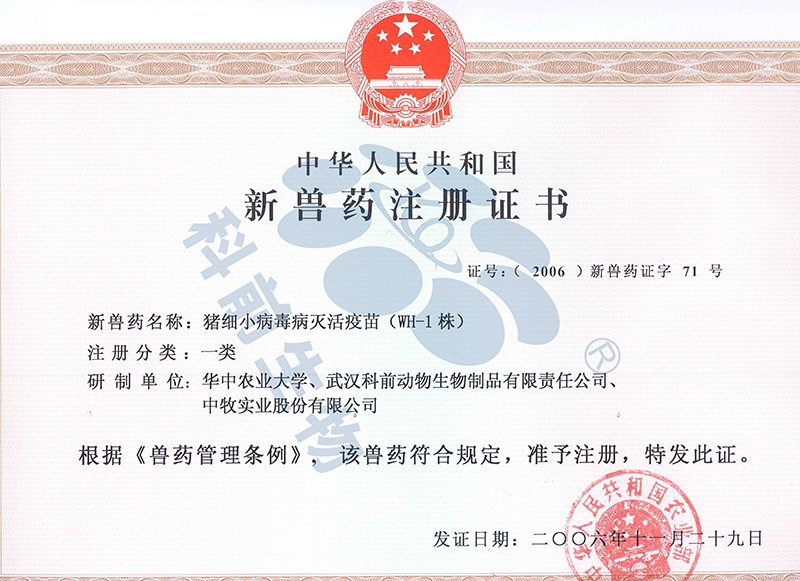 国产乱人偷精品人妻A片