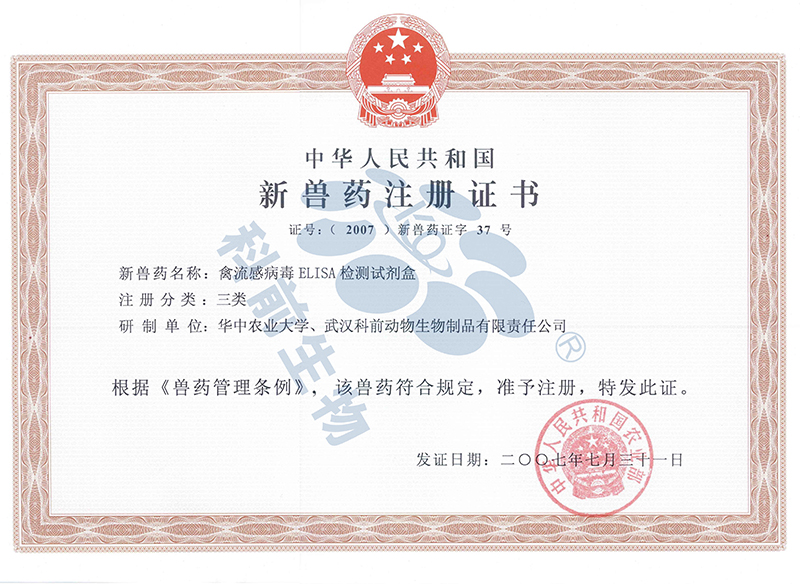 国产乱人偷精品人妻A片