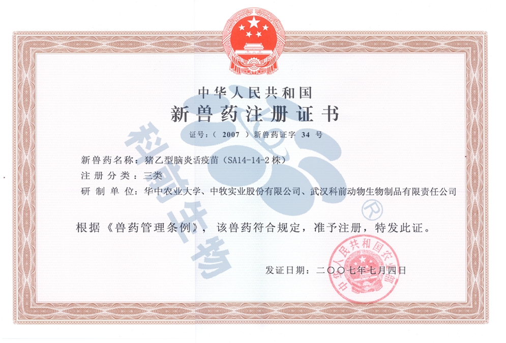 国产乱人偷精品人妻A片