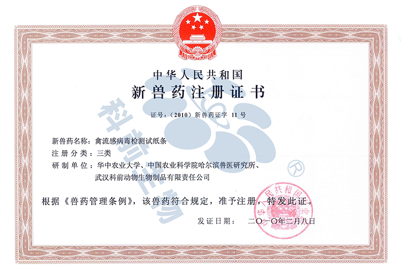 国产乱人偷精品人妻A片