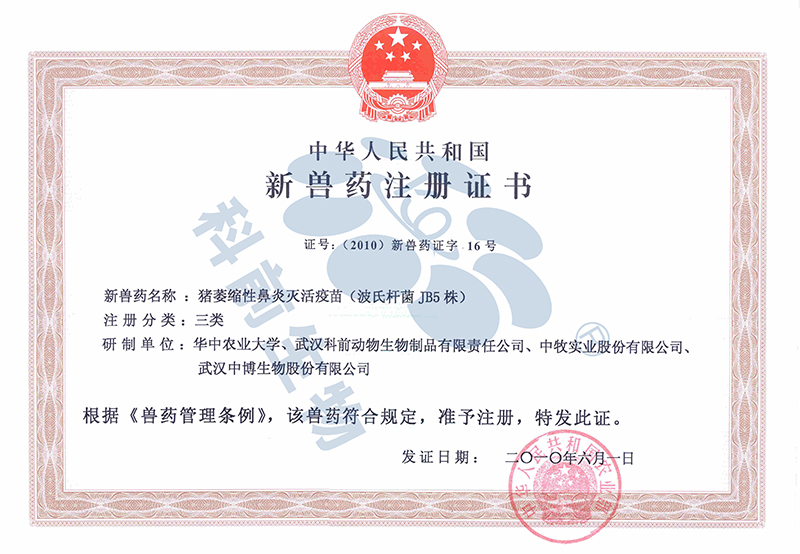 国产乱人偷精品人妻A片