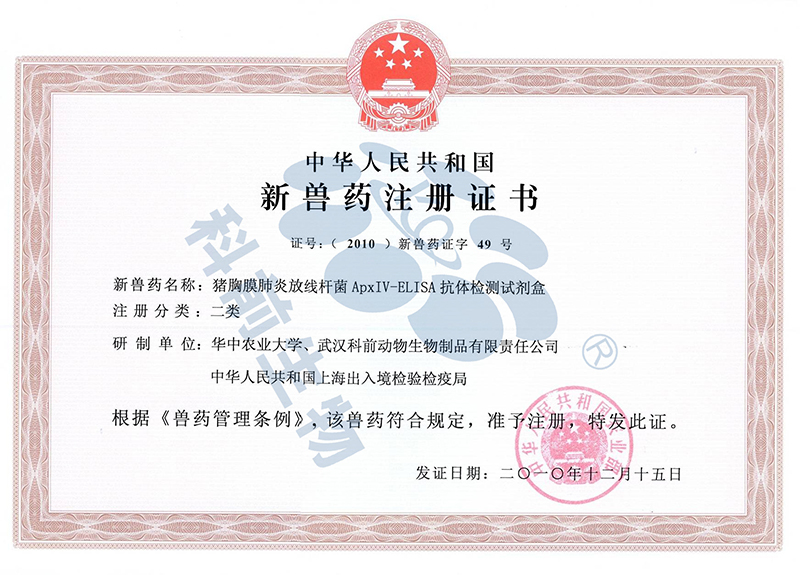 国产乱人偷精品人妻A片