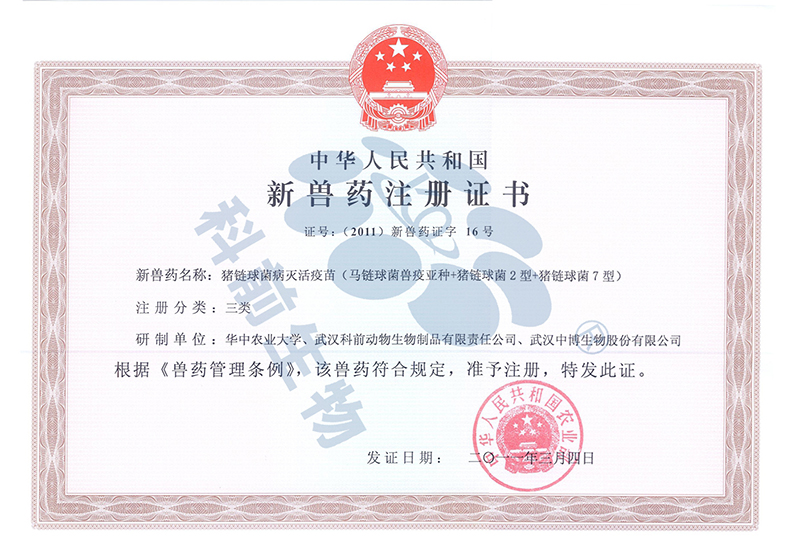 国产乱人偷精品人妻A片