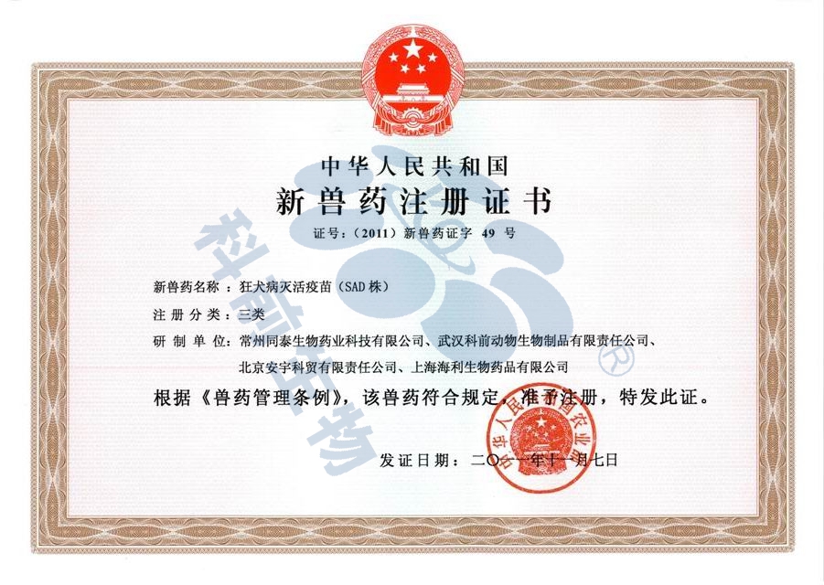 国产乱人偷精品人妻A片