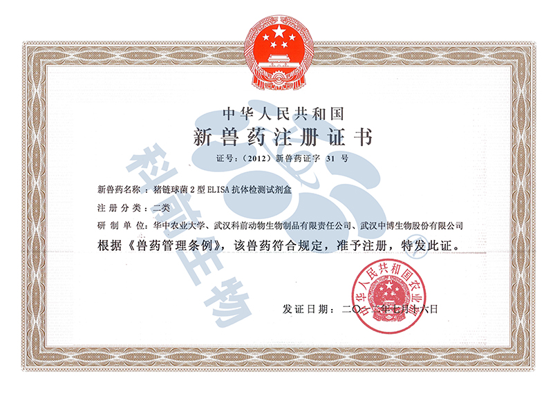 国产乱人偷精品人妻A片