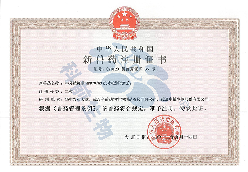 国产乱人偷精品人妻A片