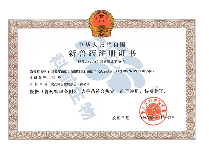 国产乱人偷精品人妻A片