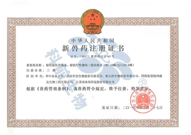 国产乱人偷精品人妻A片