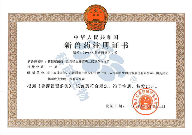 国产乱人偷精品人妻A片