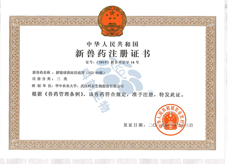 国产乱人偷精品人妻A片