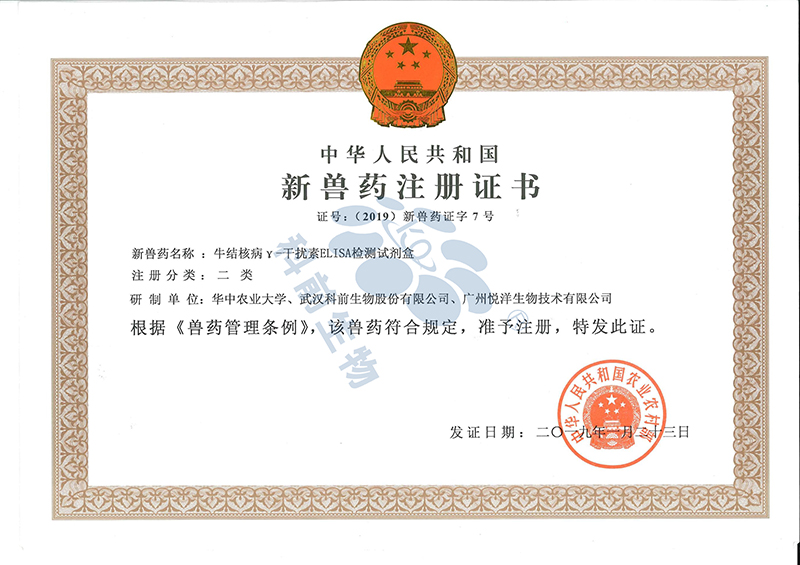 国产乱人偷精品人妻A片