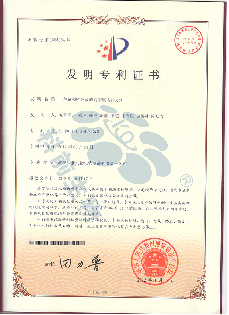 国产乱人偷精品人妻A片