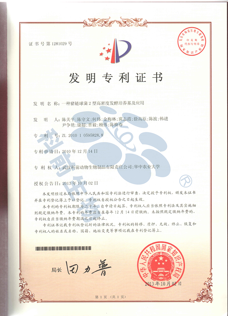 国产乱人偷精品人妻A片