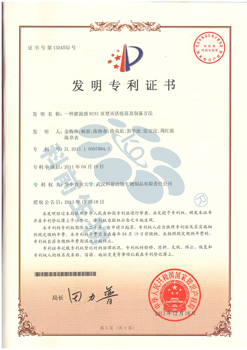 国产乱人偷精品人妻A片