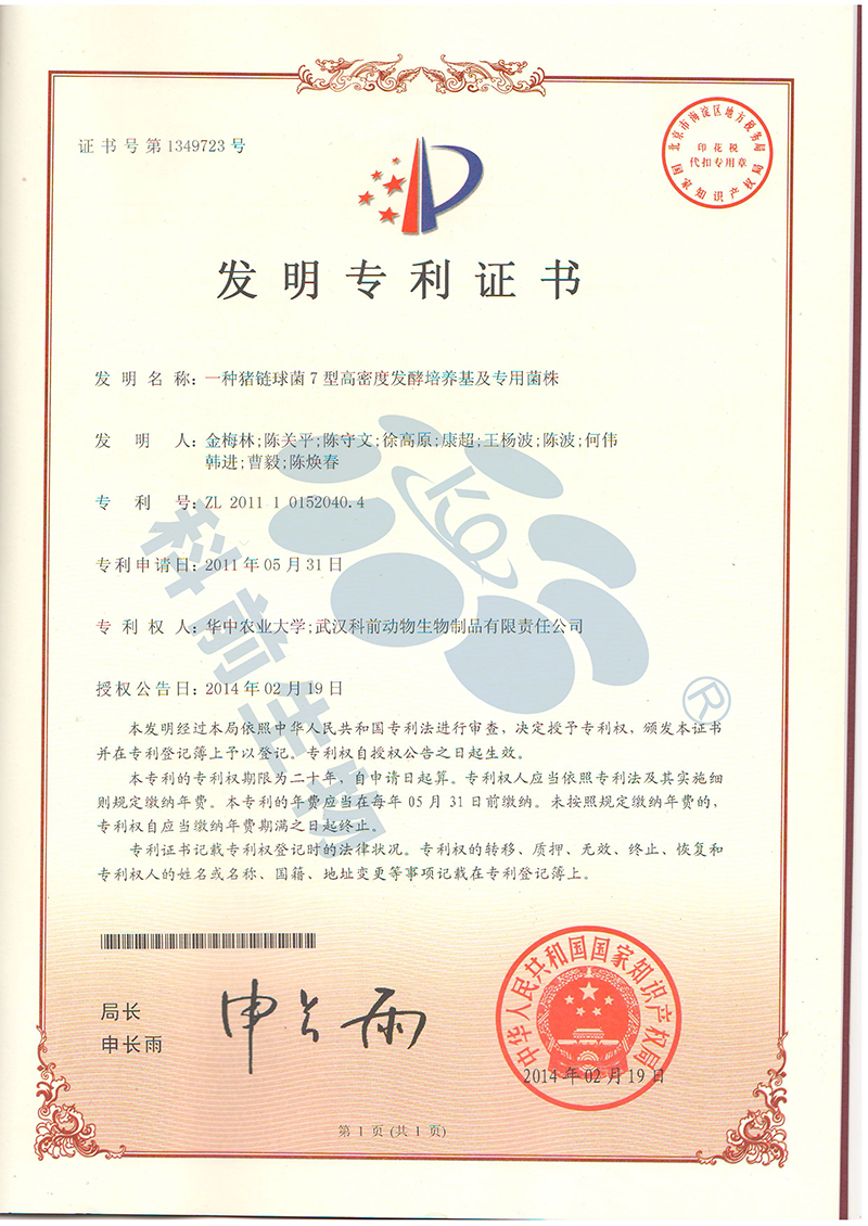 国产乱人偷精品人妻A片