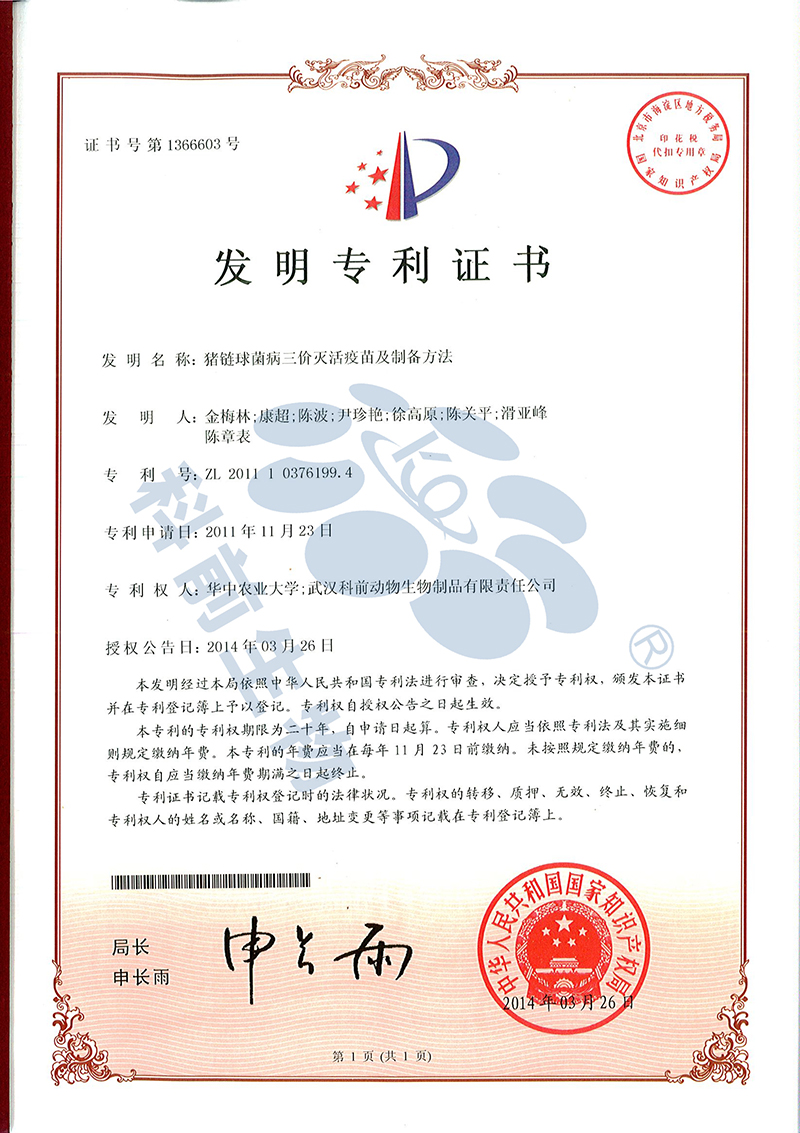 国产乱人偷精品人妻A片