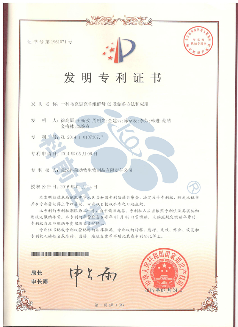 国产乱人偷精品人妻A片