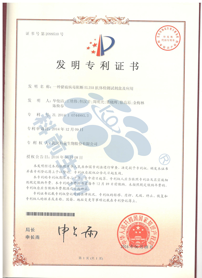 国产乱人偷精品人妻A片