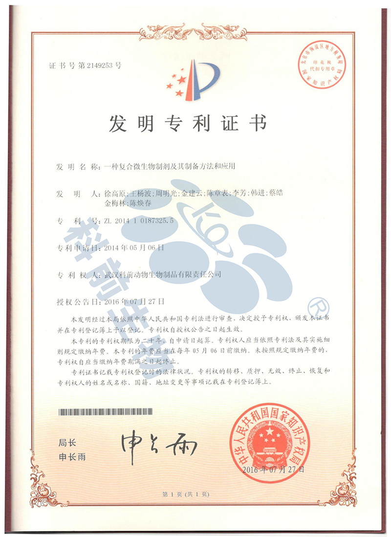 国产乱人偷精品人妻A片