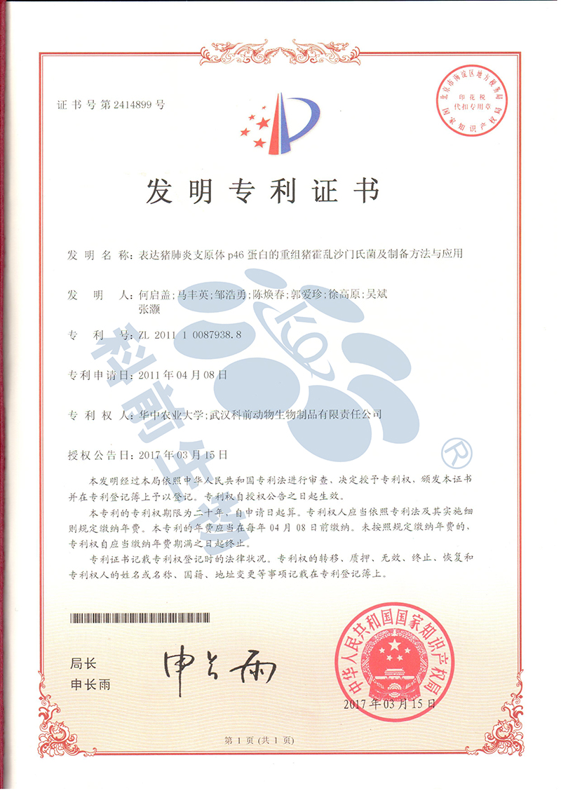 国产乱人偷精品人妻A片