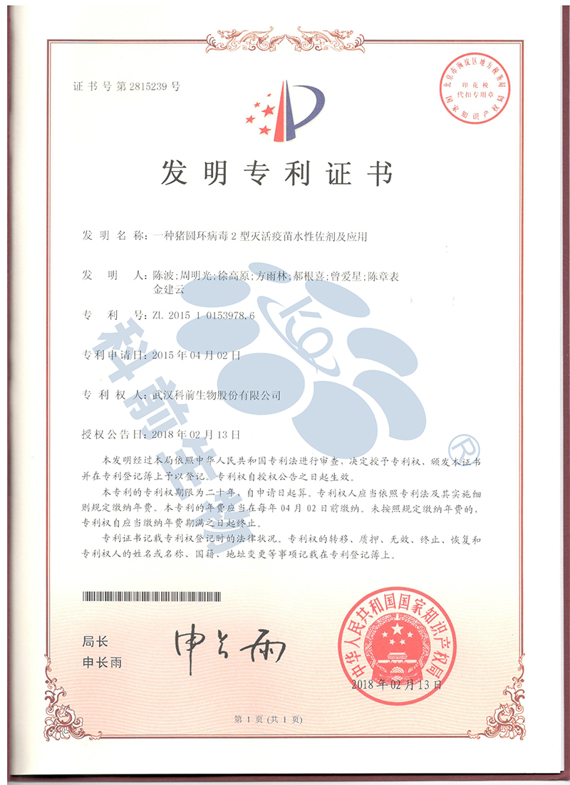 国产乱人偷精品人妻A片