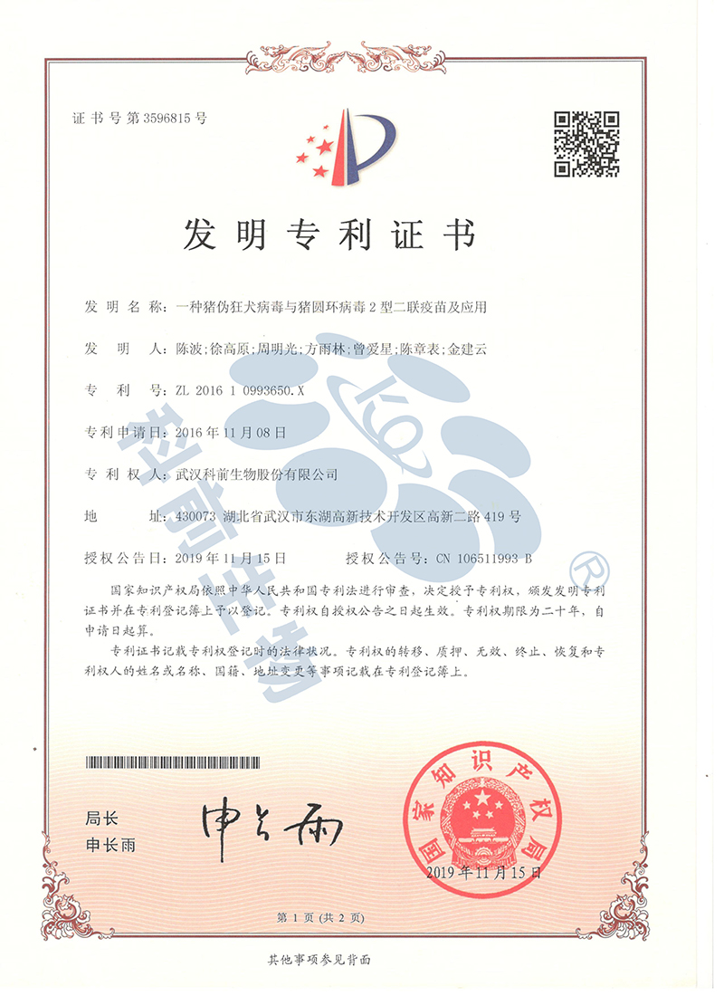 国产乱人偷精品人妻A片