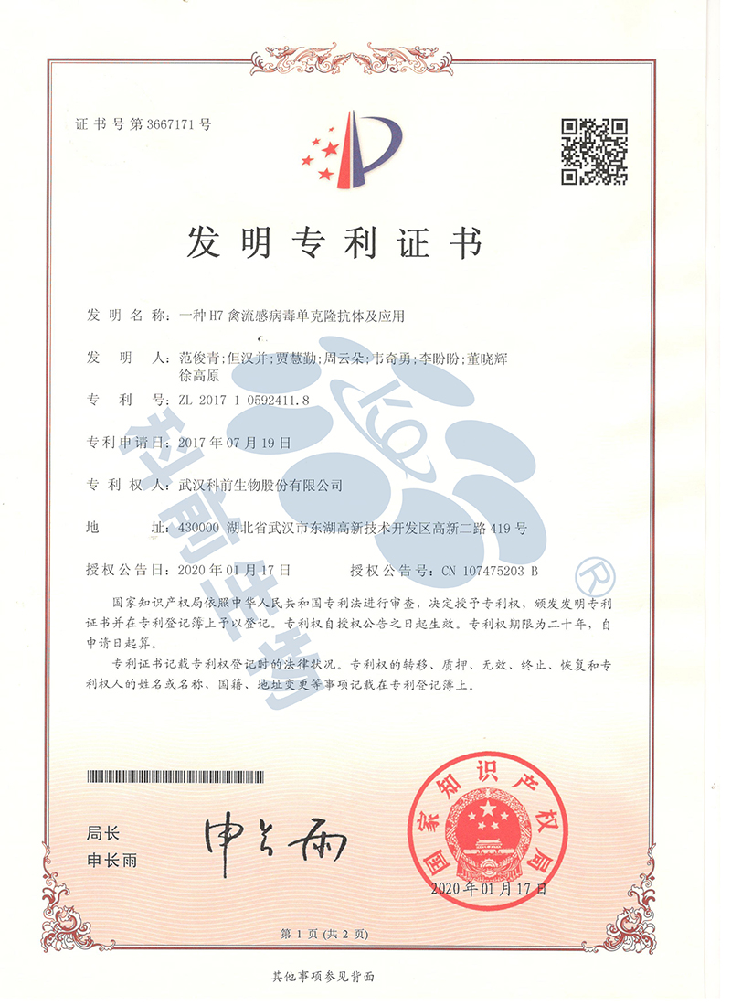 国产乱人偷精品人妻A片