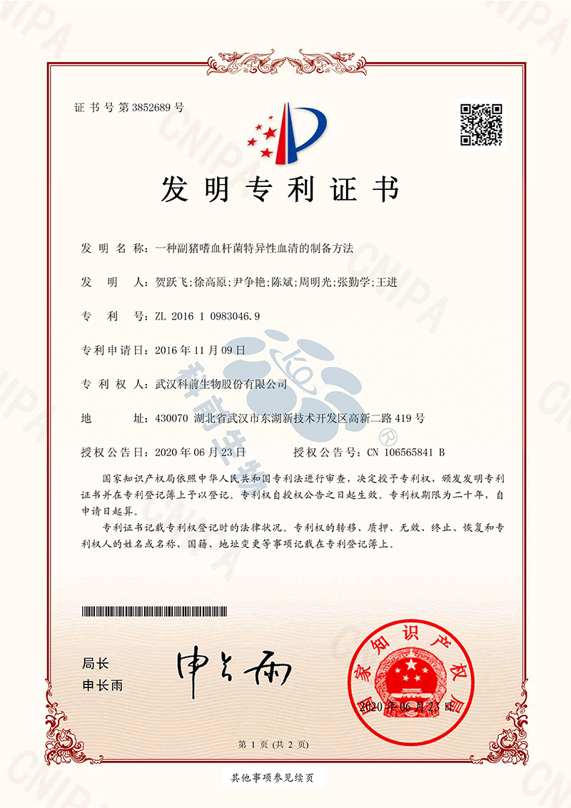 国产乱人偷精品人妻A片