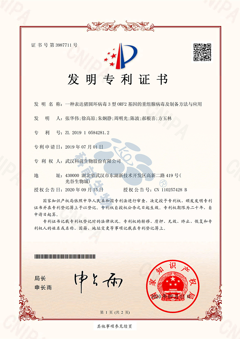 国产乱人偷精品人妻A片