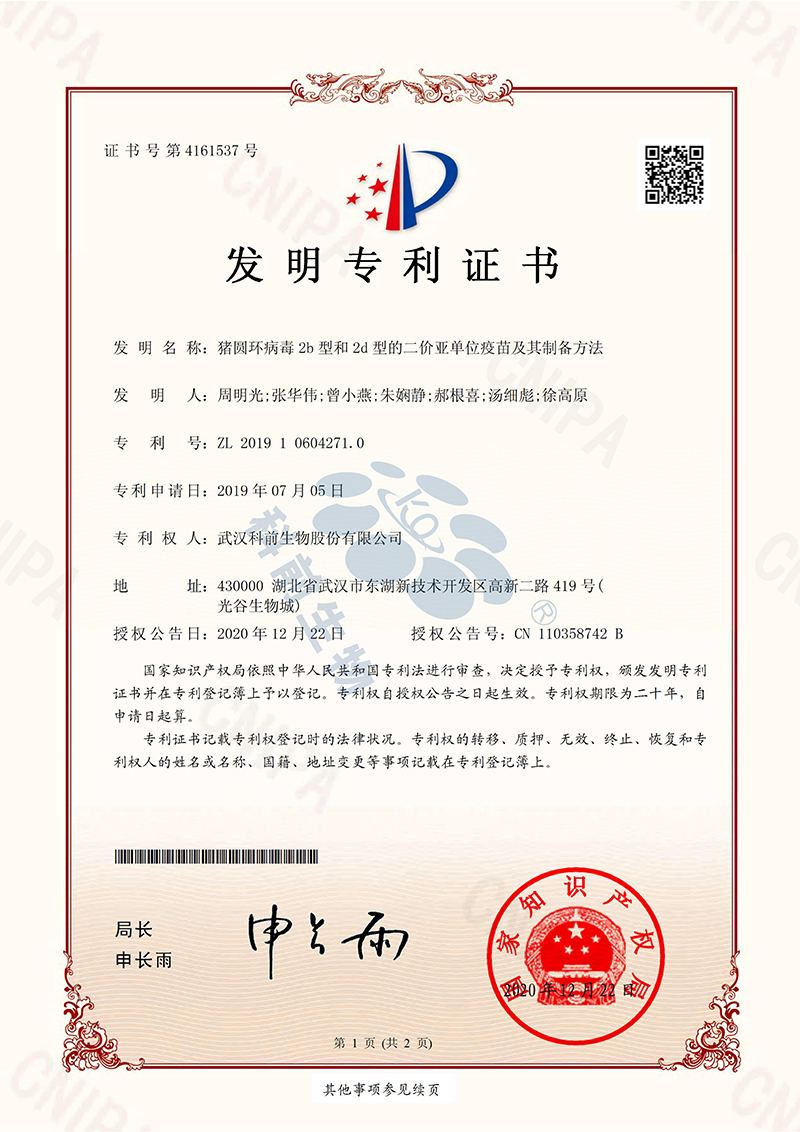 国产乱人偷精品人妻A片