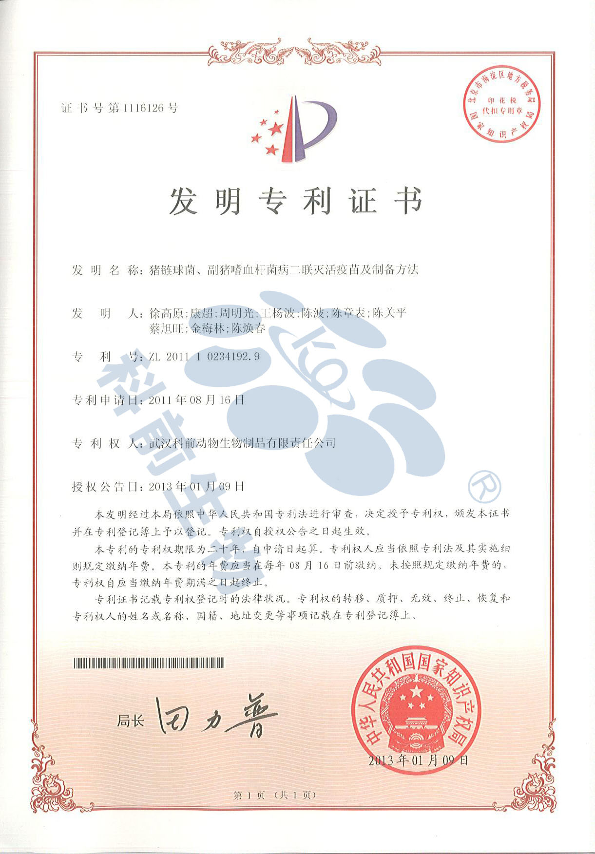 国产乱人偷精品人妻A片