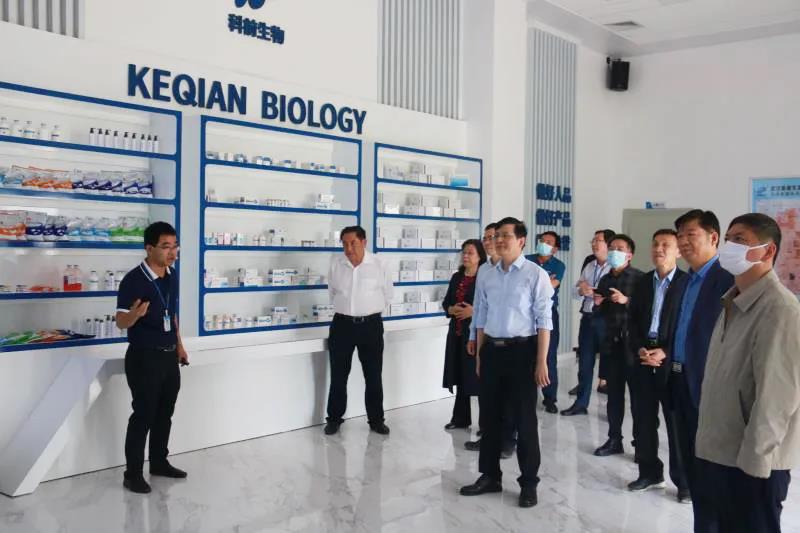 国产乱人偷精品人妻A片