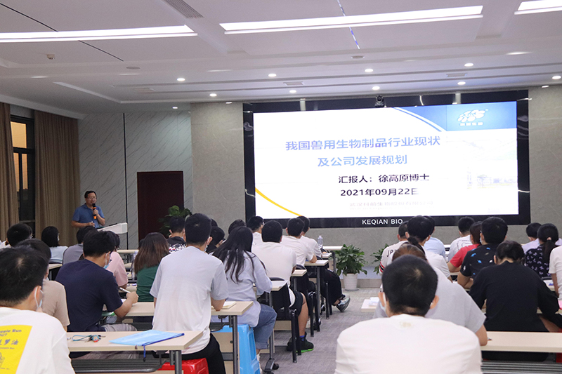 国产乱人偷精品人妻A片