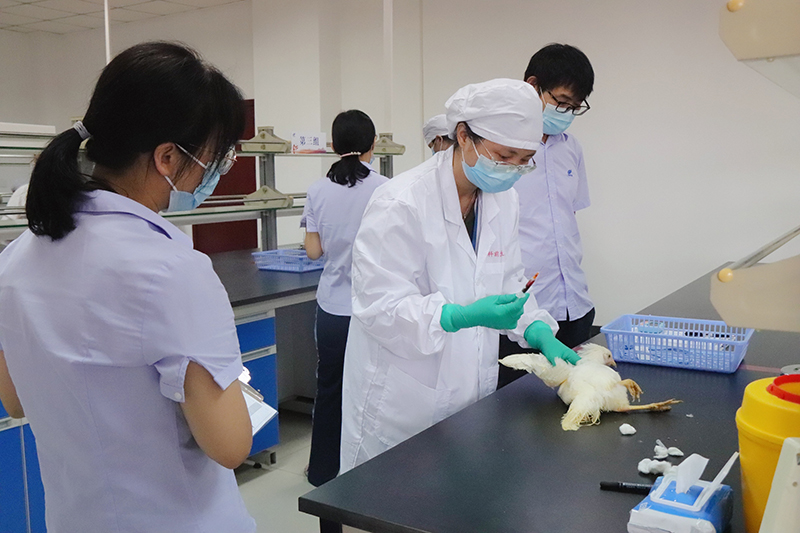 国产乱人偷精品人妻A片