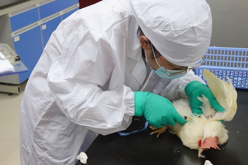 国产乱人偷精品人妻A片