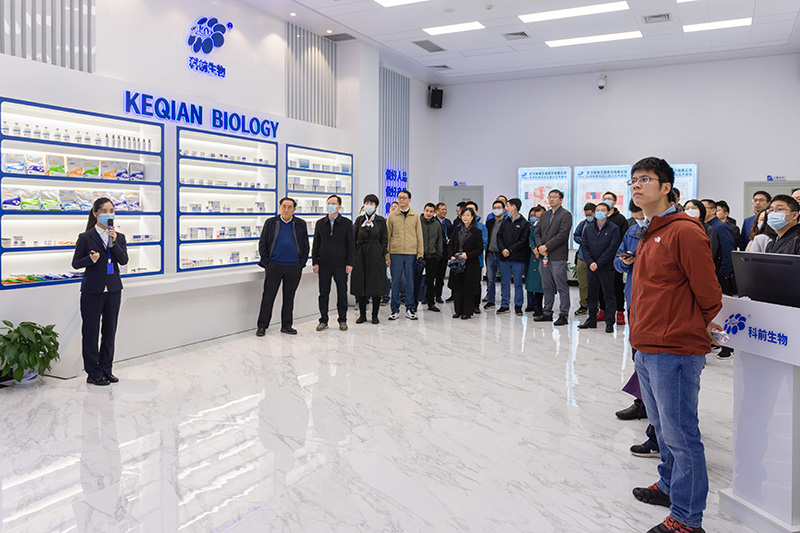 国产乱人偷精品人妻A片