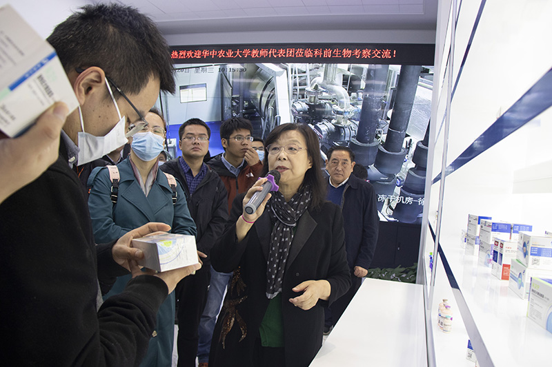 国产乱人偷精品人妻A片