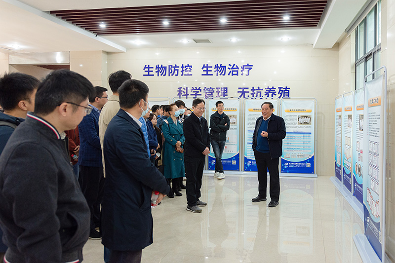 国产乱人偷精品人妻A片