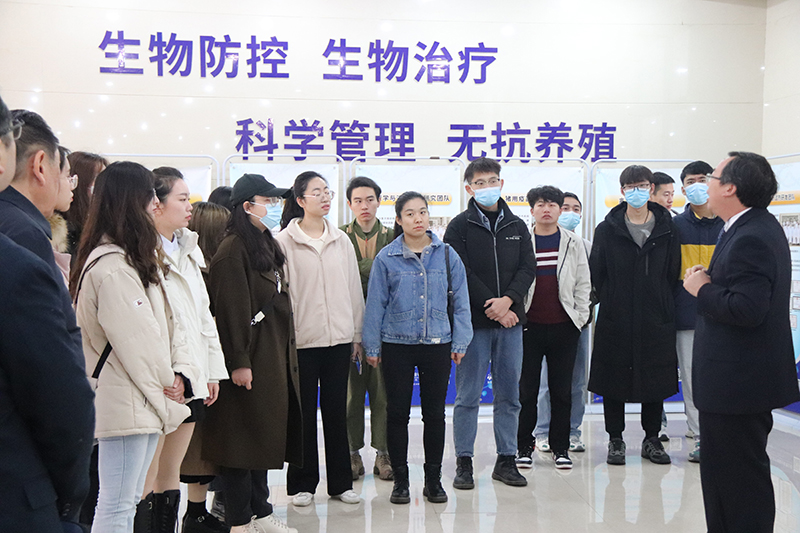 国产乱人偷精品人妻A片