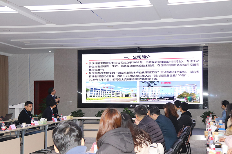 国产乱人偷精品人妻A片