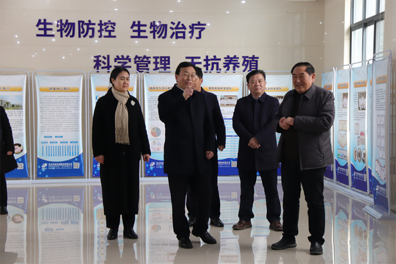 国产乱人偷精品人妻A片