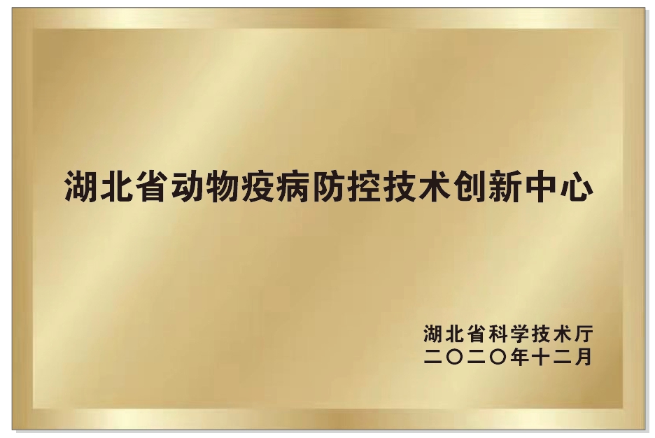 国产乱人偷精品人妻A片