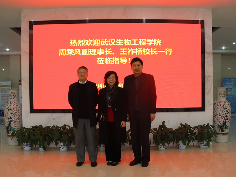 国产乱人偷精品人妻A片