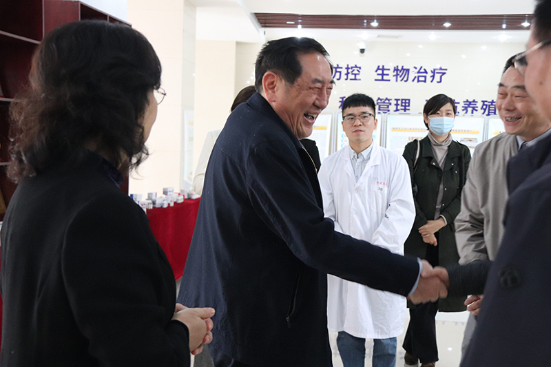 国产乱人偷精品人妻A片