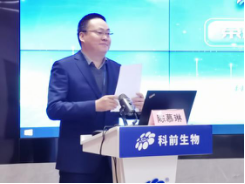 国产乱人偷精品人妻A片