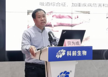 国产乱人偷精品人妻A片